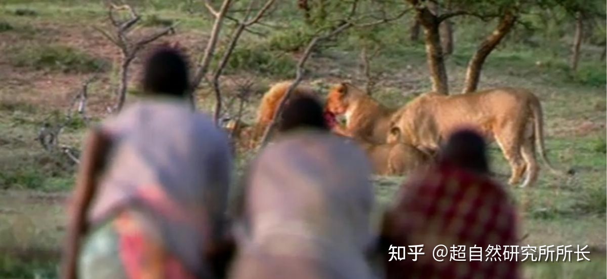世界上至今存在的十大神秘原始部落，每一种都超乎你的想象 ...362 / 作者:行走的蜗牛_ / 帖子ID:97127