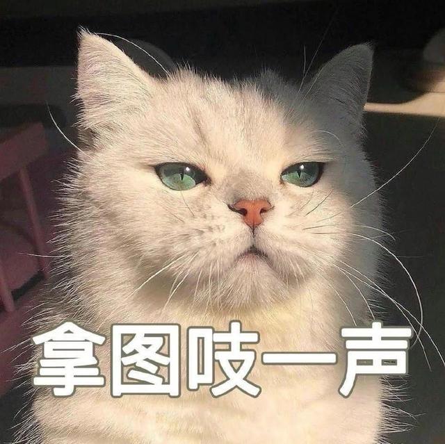 女生头像‖世界上所有的惊喜和好运，都是你累积的温柔与善良。141 / 作者:意乱了真假意wk / 帖子ID:97160