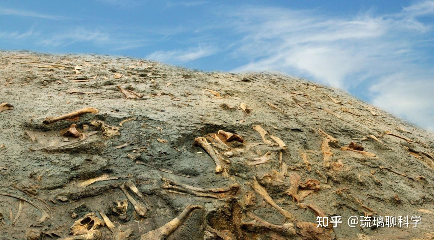 科学家发现42光年外的“超级星球”，和地球类似，或已存在 ...939 / 作者:流行的童话蹈 / 帖子ID:97201