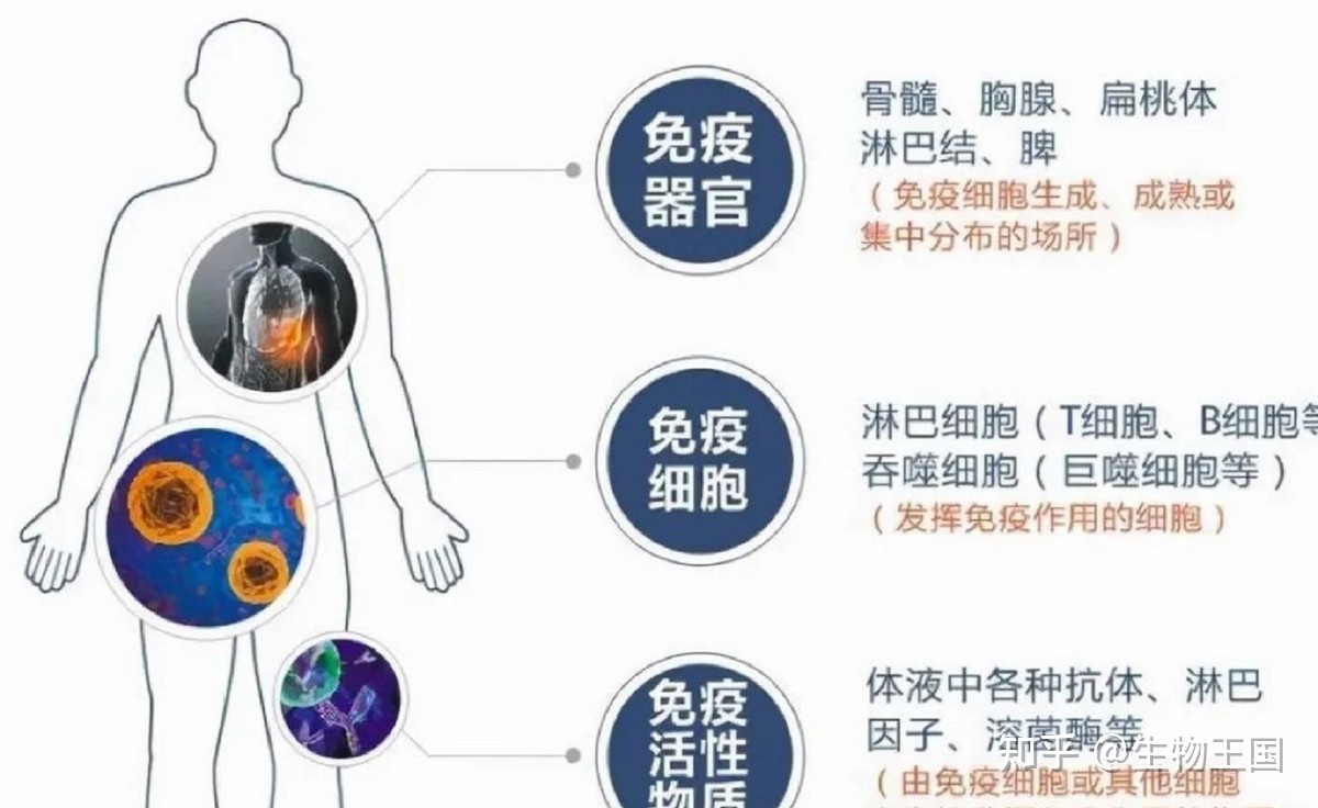地球上的生物都有天敌相克，怎么从没听说病毒的天敌？病毒 ...188 / 作者:宋长宁 / 帖子ID:97233