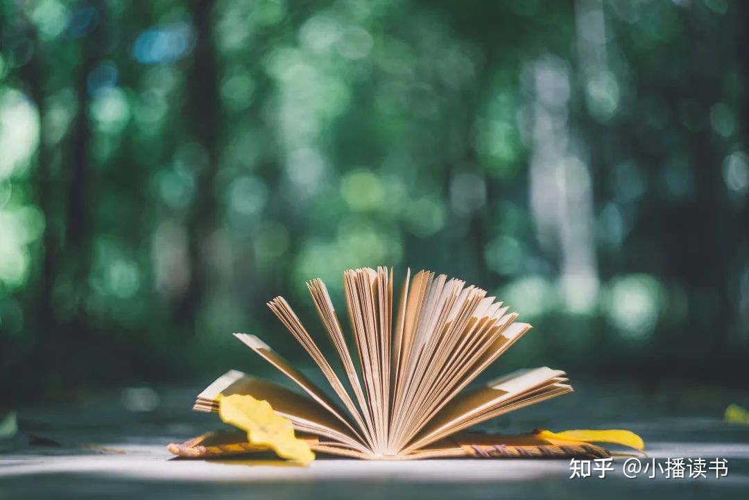 【哈贝马斯系列Ⅸ】 什么是社会批判型的知识？哈贝马斯又是 ...700 / 作者:123457191 / 帖子ID:97261