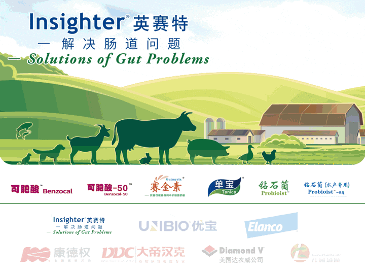 终身学习｜三十年兽医进步的诀窍135 / 作者:素舒 / 帖子ID:97264