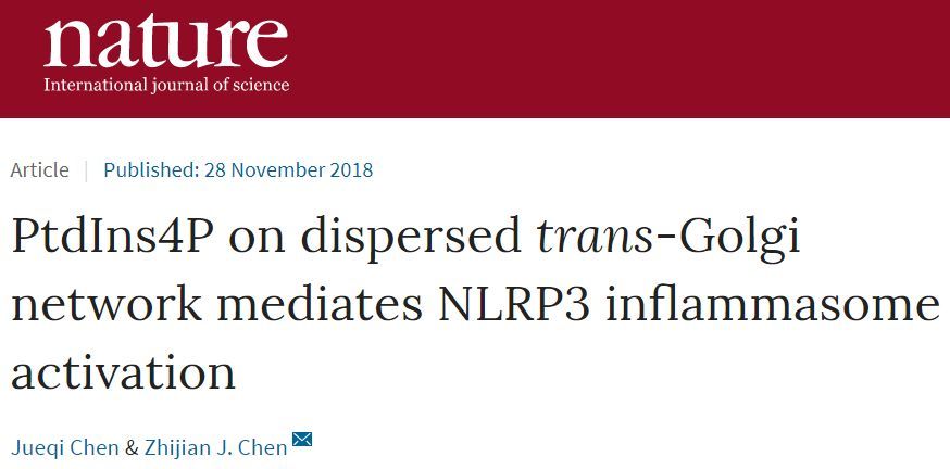 Nature丨陈志坚组解开困扰学界多年的关于NLRP3炎症小体 ...224 / 作者:两个小胖猪遗 / 帖子ID:97435