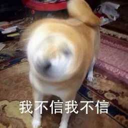 娱乐圈明星有哪些灵异事件经历？759 / 作者:123457625 / 帖子ID:97440