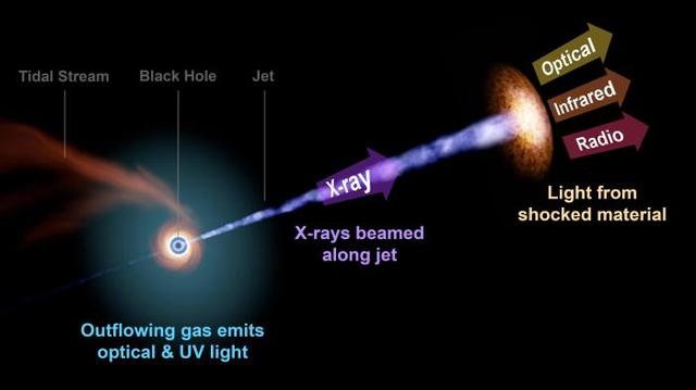 国际最新研究：黑洞瓦解恒星引发天文奇观 或助理解黑洞特性619 / 作者:献世八宝掌 / 帖子ID:97594