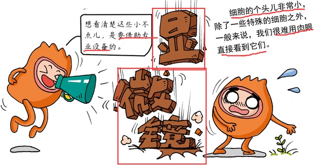 3分钟就能学明白生物，小学生也能看懂，“生物学”竟然这么简单776 / 作者:恋爱的棉被缀 / 帖子ID:97840