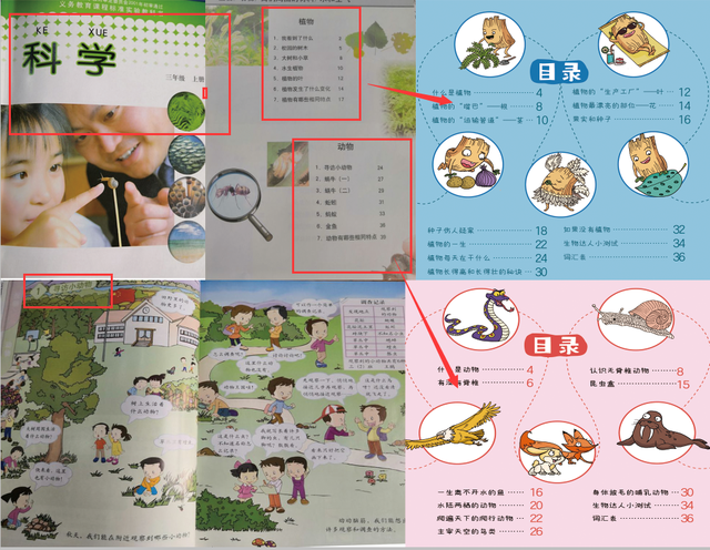 3分钟就能学明白生物，小学生也能看懂，“生物学”竟然这么简单54 / 作者:恋爱的棉被缀 / 帖子ID:97840