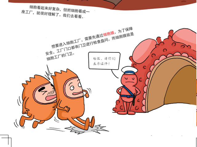 3分钟就能学明白生物，小学生也能看懂，“生物学”竟然这么简单415 / 作者:恋爱的棉被缀 / 帖子ID:97840