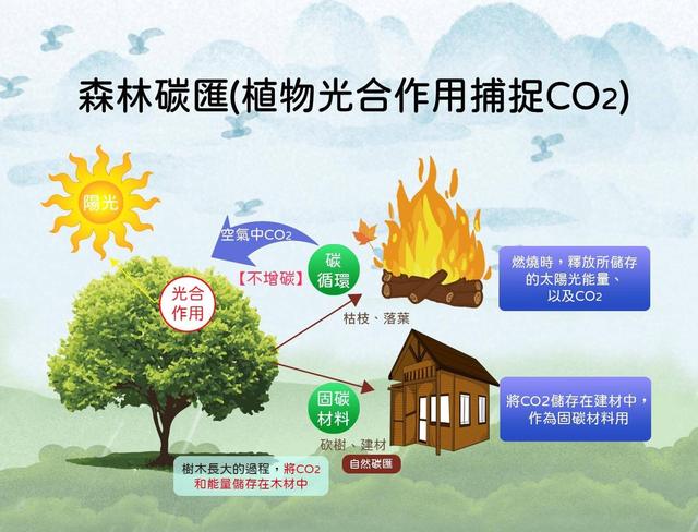如果把地球上的所有沙漠，都变成森林会怎么样？代价恐难以承受340 / 作者:五题架转困 / 帖子ID:97841