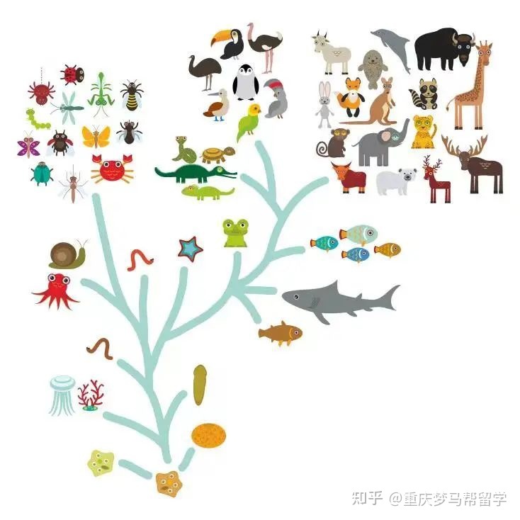 专业梳理 | 起源、演化、分布，包含“生物科学”有关的一切127 / 作者:二狗子2017 / 帖子ID:97882