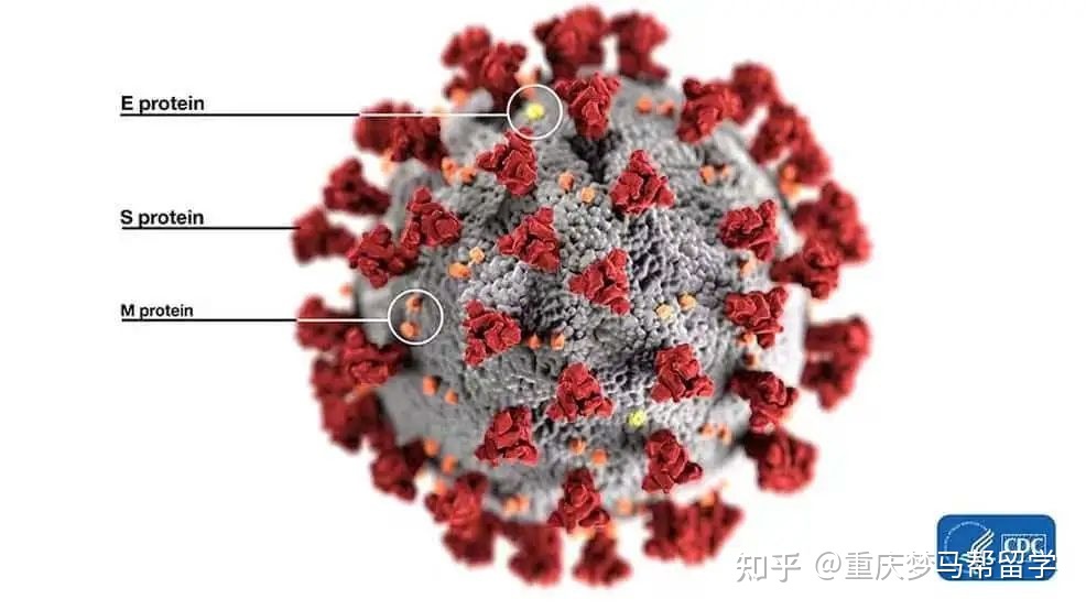 专业梳理 | 起源、演化、分布，包含“生物科学”有关的一切970 / 作者:二狗子2017 / 帖子ID:97882