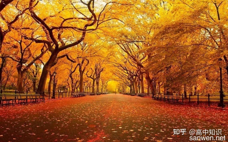 那些令化学党叹为观止的化学世界之最626 / 作者:嘉熙莫多多ir / 帖子ID:97890