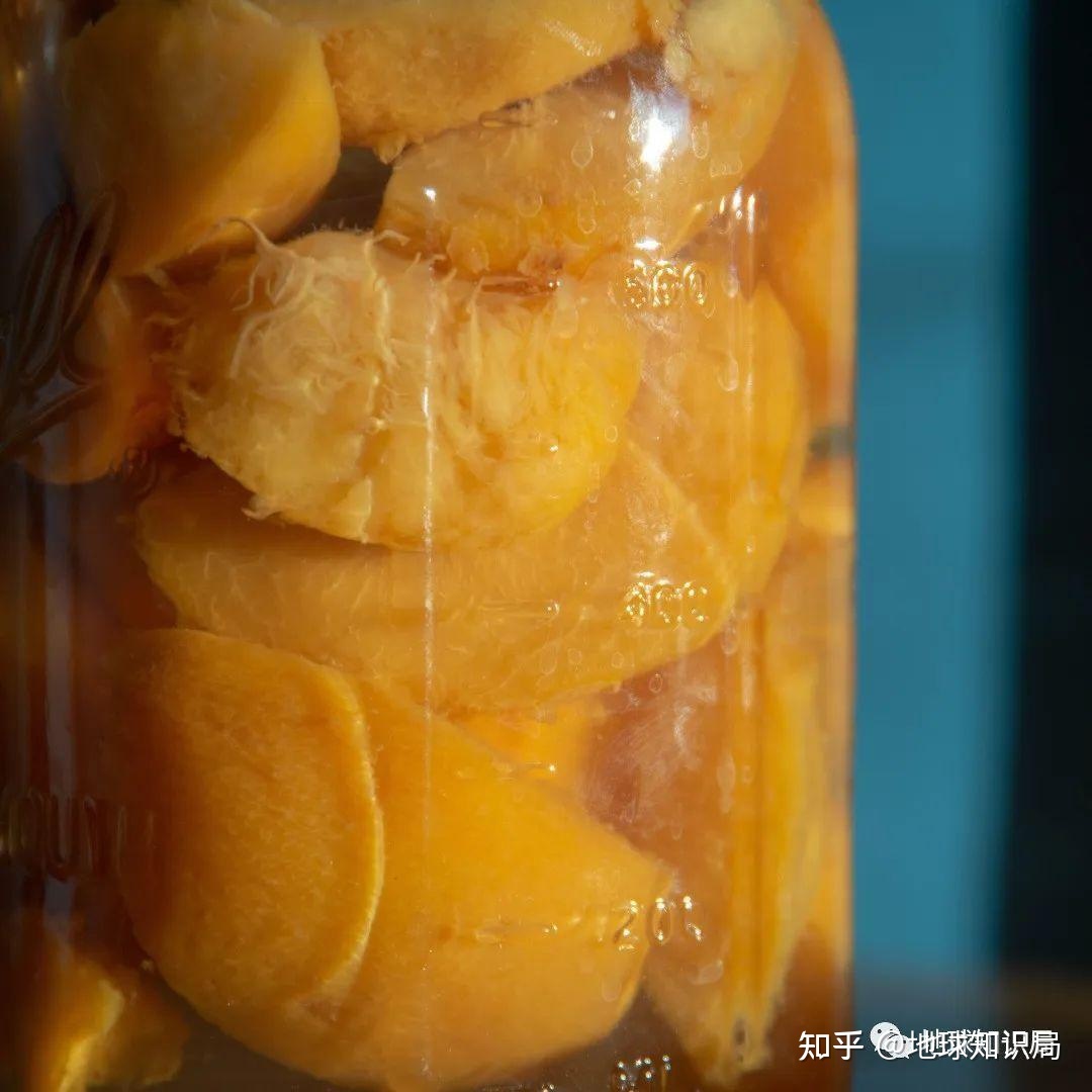 黄桃罐头？糖水炸弹！| 地球知识局512 / 作者:123457736 / 帖子ID:97903