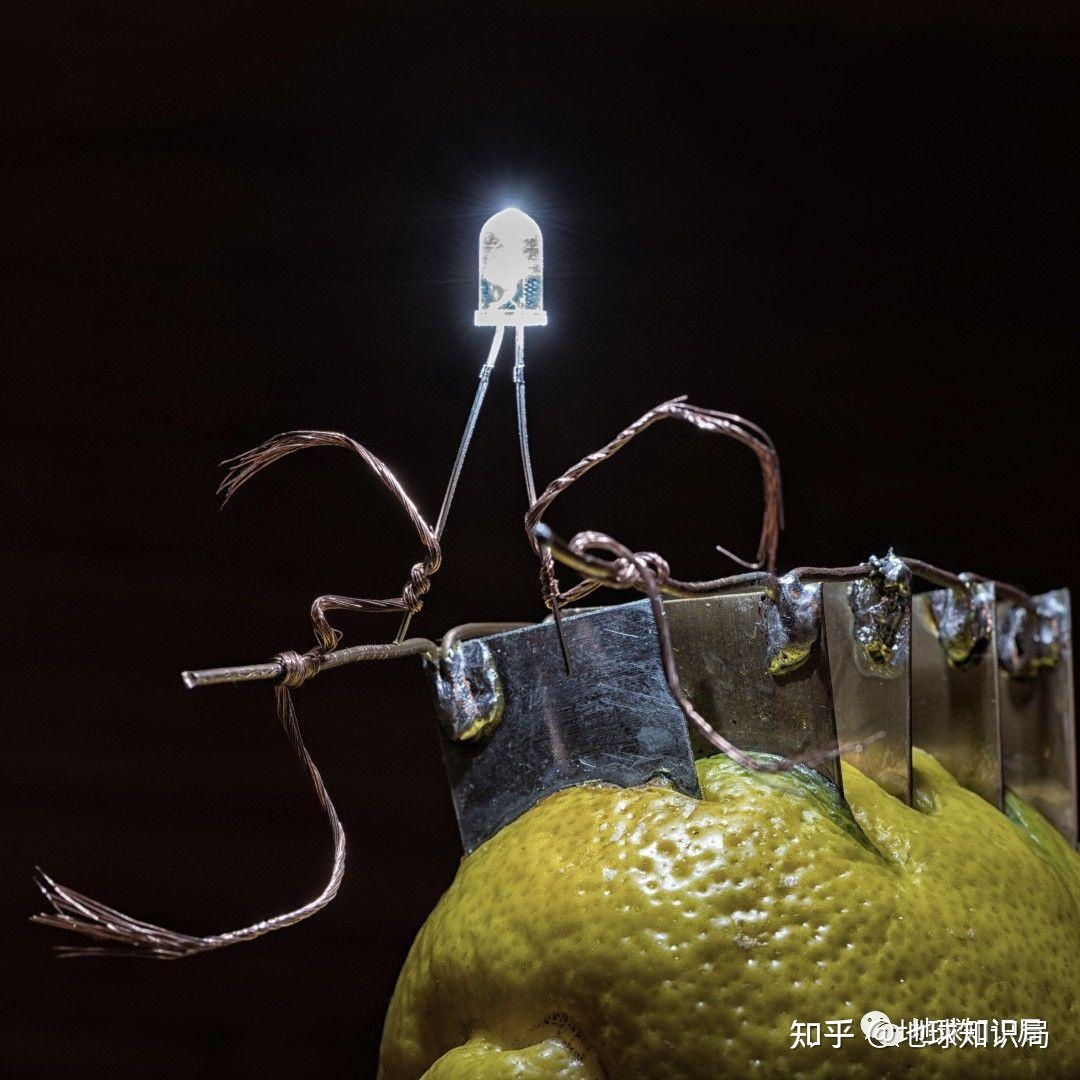 黄桃罐头？糖水炸弹！| 地球知识局900 / 作者:123457736 / 帖子ID:97903