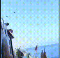 人类在1561年亲眼目睹的UFO大战，如今又上演了！465 / 作者:索支较 / 帖子ID:97967