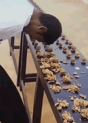 100个沙雕吉尼斯世界纪录，看完我人傻了！369 / 作者:乐态思 / 帖子ID:98167