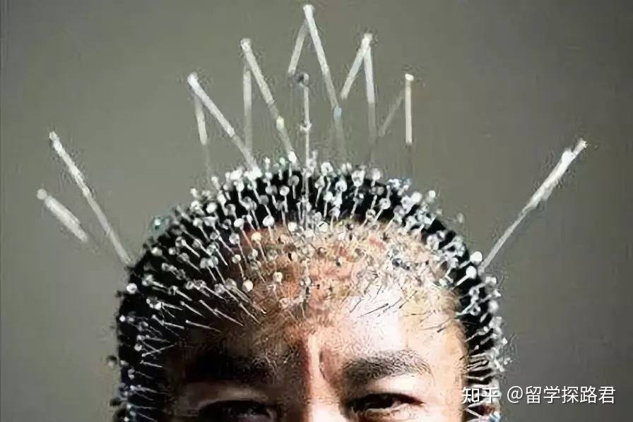 100个沙雕吉尼斯世界纪录，看完我人傻了！790 / 作者:乐态思 / 帖子ID:98167