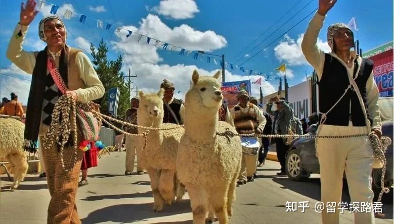 100个沙雕吉尼斯世界纪录，看完我人傻了！942 / 作者:乐态思 / 帖子ID:98167