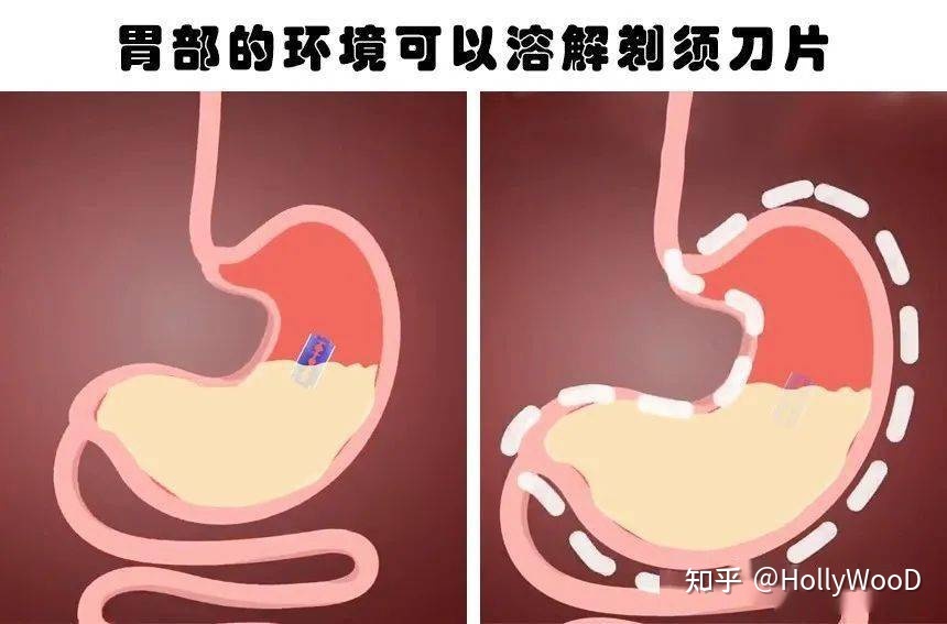 有关生命科学的冷知识有哪些？926 / 作者:永远丶并不远 / 帖子ID:98212