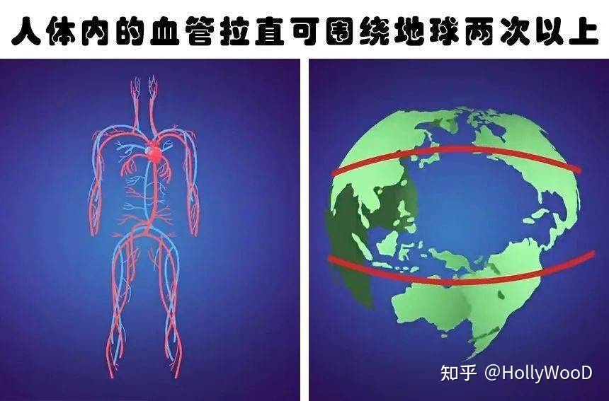 有关生命科学的冷知识有哪些？930 / 作者:永远丶并不远 / 帖子ID:98212