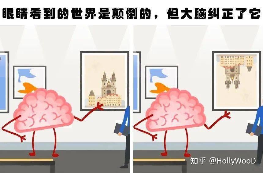 有关生命科学的冷知识有哪些？585 / 作者:永远丶并不远 / 帖子ID:98212
