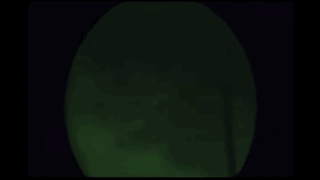 披露！时隔50多年，美国为啥又搬出UFO……886 / 作者:亦木近北栽 / 帖子ID:98503