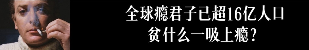 旅行者1号还存在吗？向人类发回珍贵映像，2025年会彻底与 ...997 / 作者:划翔的青鸟纲 / 帖子ID:98633