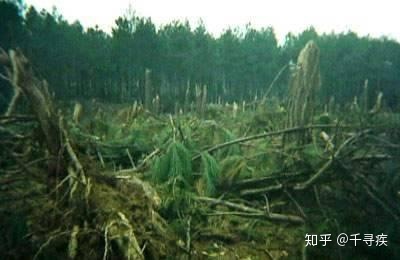 解密贵州空中怪车UFO事件357 / 作者:清风JA1 / 帖子ID:98637