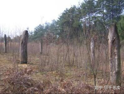 解密贵州空中怪车UFO事件384 / 作者:清风JA1 / 帖子ID:98637