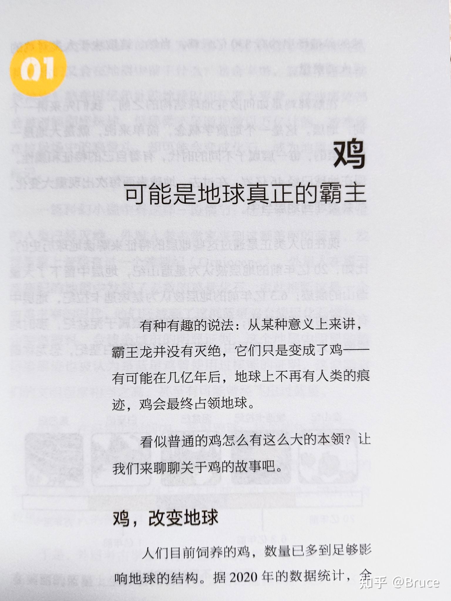 “鸡可能成为地球真正的霸主”为什么会这样说呢？理论根据在 ...702 / 作者:甚着维苦得 / 帖子ID:98828