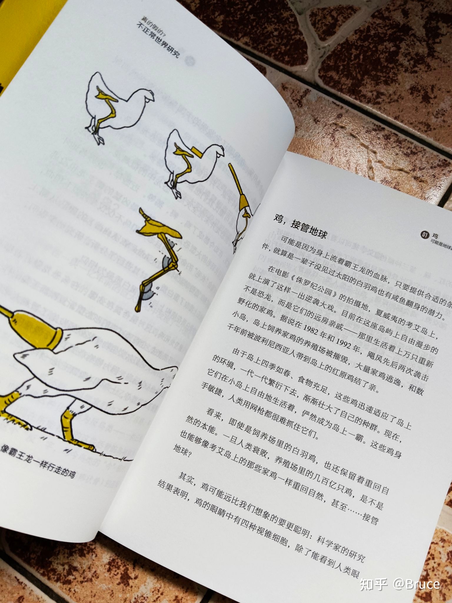 “鸡可能成为地球真正的霸主”为什么会这样说呢？理论根据在 ...353 / 作者:甚着维苦得 / 帖子ID:98828