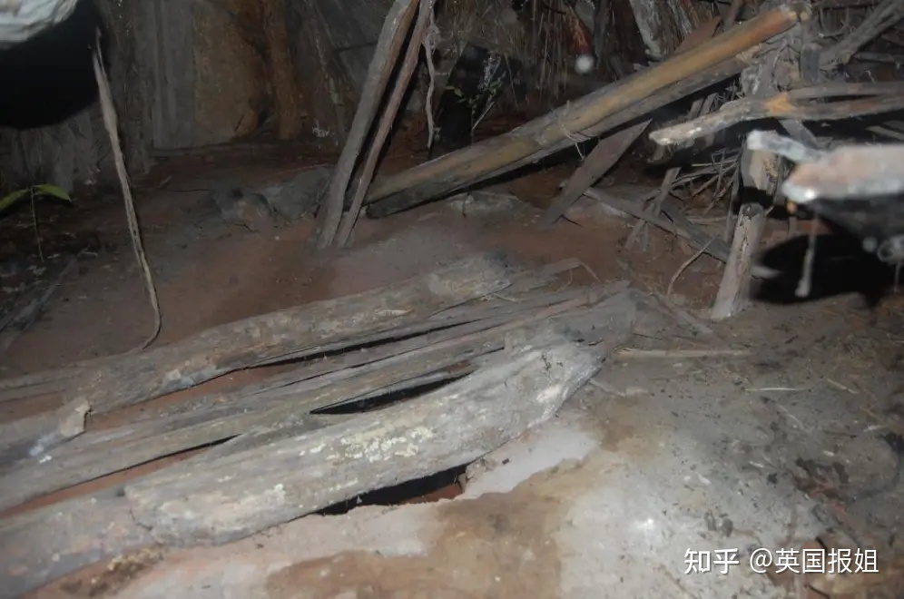 地球上还有原始人吗？225 / 作者:张王赵高痔 / 帖子ID:98859
