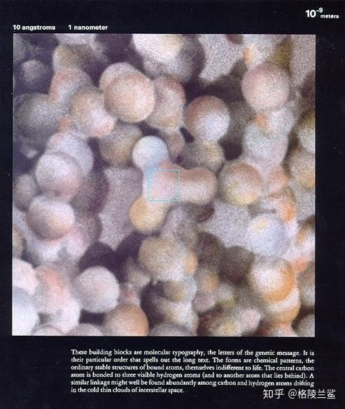 宇宙有没有可能是一个巨人的细胞？701 / 作者:丁香如雨捌 / 帖子ID:99330