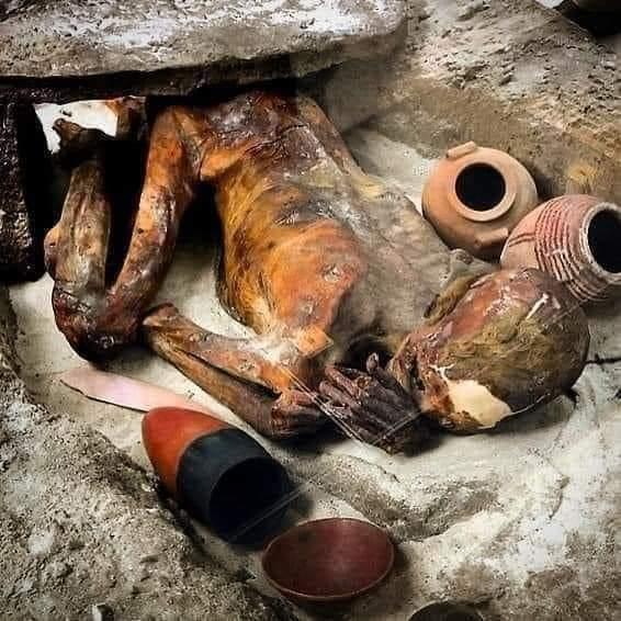 这篇文章，来聊一聊那些你不曾知道的世界之最312 / 作者:一心之恋祭 / 帖子ID:99508