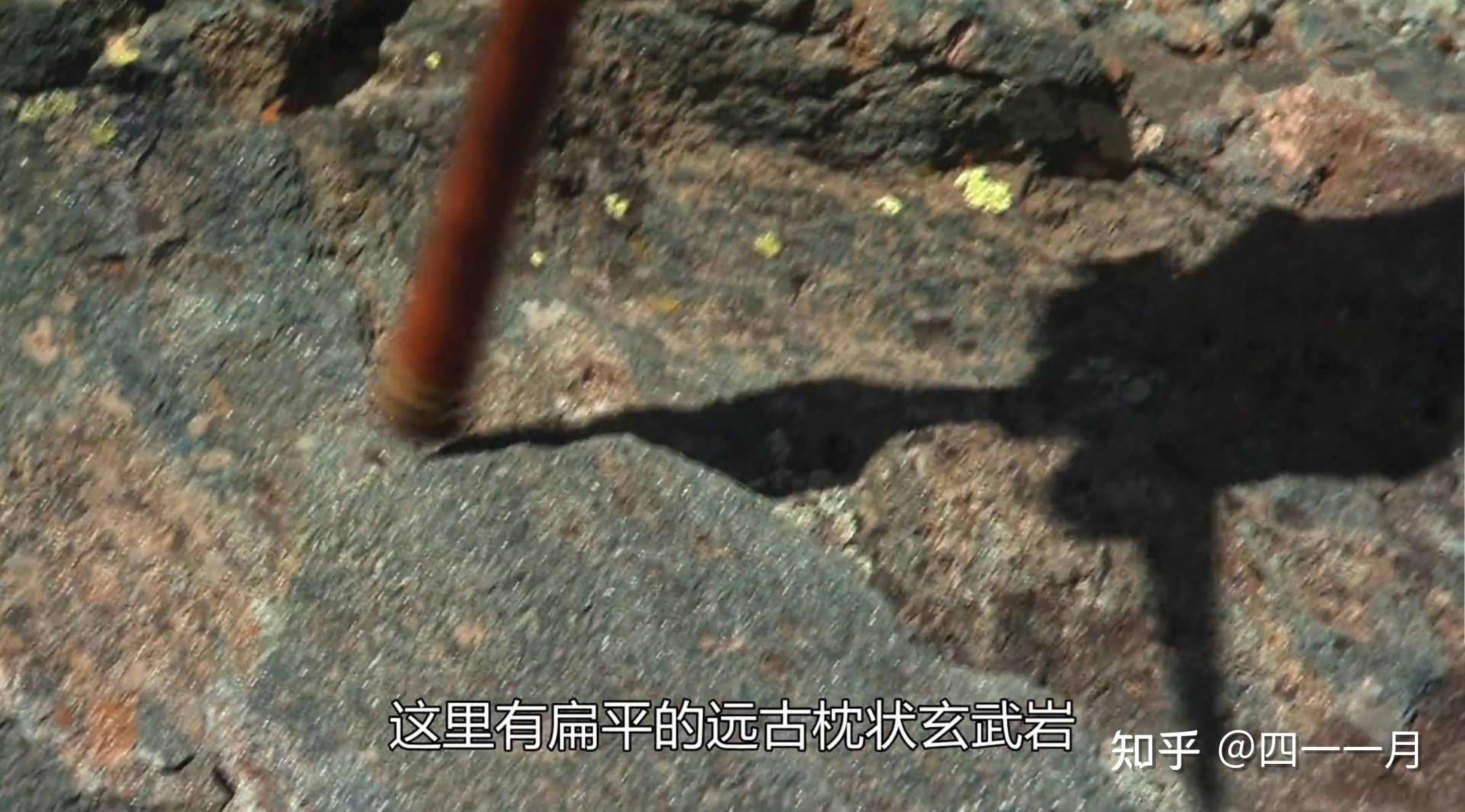 板块学说(阿尔卑斯运动/喜马拉雅运动/洋中脊)697 / 作者:叫啥不行靠 / 帖子ID:100378