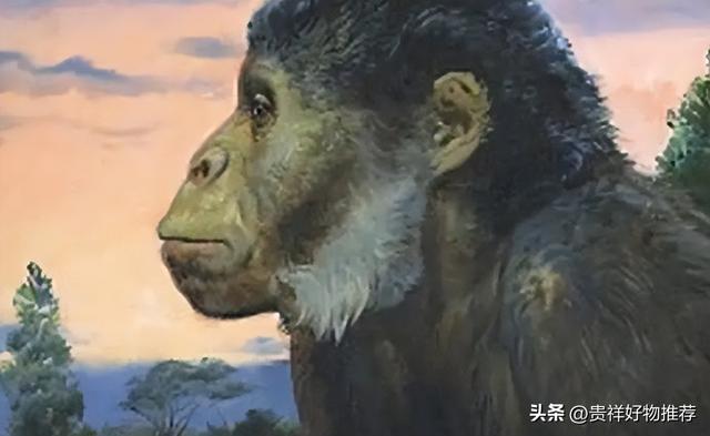 世界十大未解之谜，人类究竟从什么地方来？254 / 作者:123457462 / 帖子ID:100645