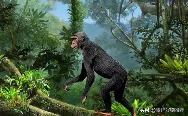 世界十大未解之谜，人类究竟从什么地方来？720 / 作者:123457462 / 帖子ID:100645