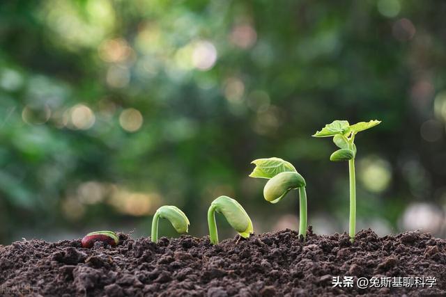 宇宙5大未解之谜，科学家承认：可能人类永远找不到答案328 / 作者:纸包里的氯化钠 / 帖子ID:100673