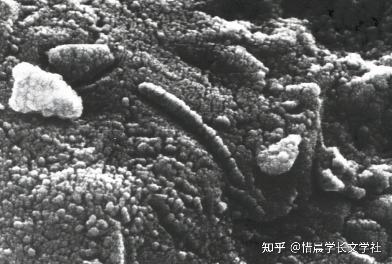 关于火星的10个未解之谜352 / 作者:123458005 / 帖子ID:100676
