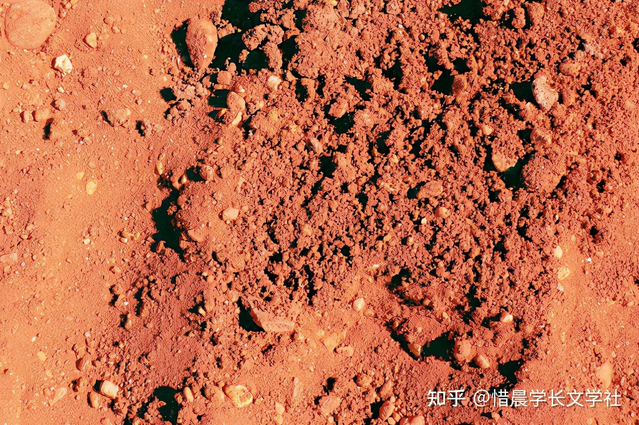 关于火星的10个未解之谜239 / 作者:123458005 / 帖子ID:100676