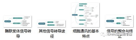 细胞生物学高频考点（八）之G蛋白偶联受体及信号转导内容 ...943 / 作者:小婴弄瓦接 / 帖子ID:100879