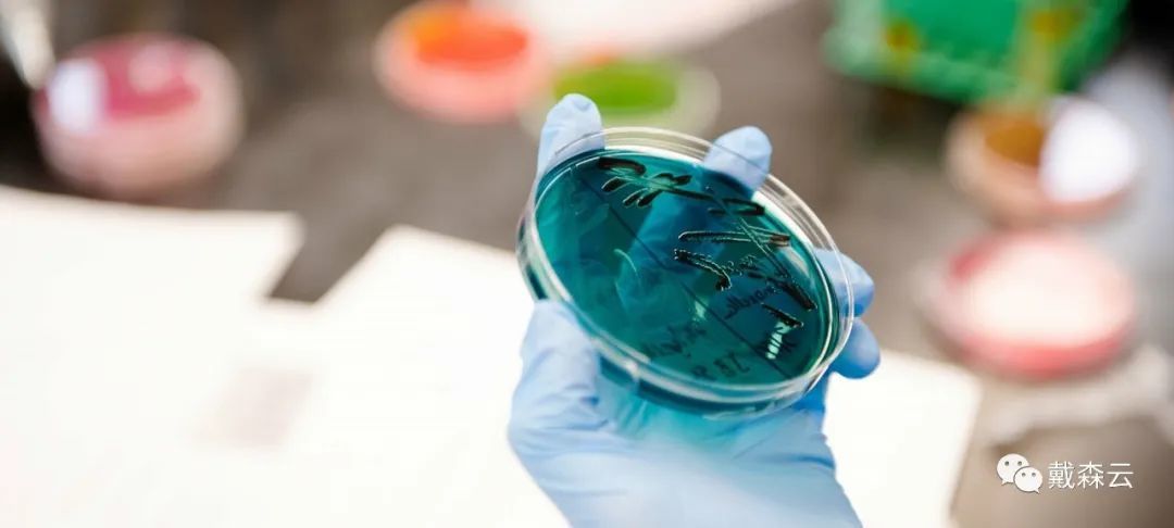 IC | 拿到生物科学offer啦！！帝国理工学姐带你专业深度解析~384 / 作者:lee382 / 帖子ID:100882