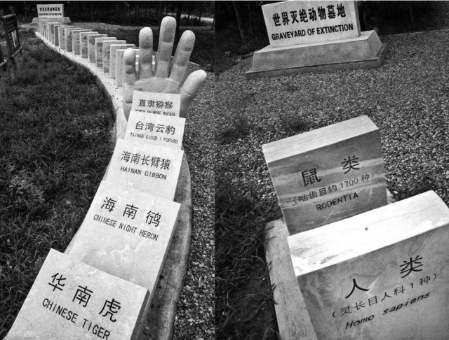 生物多样性框架，讲的也是人与人的关系312 / 作者:飞儿506 / 帖子ID:100897