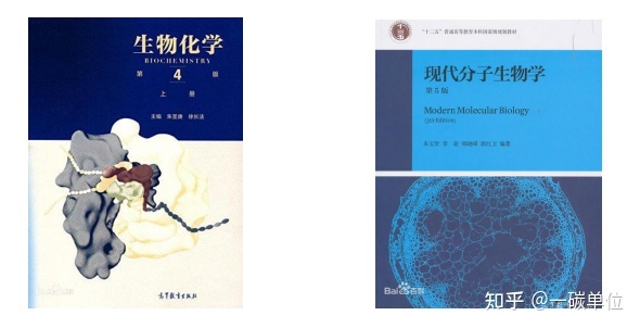 中科院612生物化学与分子生物学、852细胞生物学备考经验 ...590 / 作者:阿拉斯加他爸爸 / 帖子ID:101183