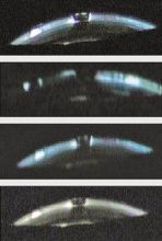 有没有能看清的UFO照片?569 / 作者:版砖批发握 / 帖子ID:101370