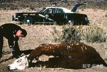 道西战争解密：一场人类与外星人的殊死决斗890 / 作者:何一方88 / 帖子ID:101417