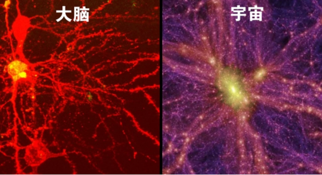 宇宙是一个巨大“生命体”？长相和大脑神经元相似，还会不断进化354 / 作者:何幕之之rl / 帖子ID:101608