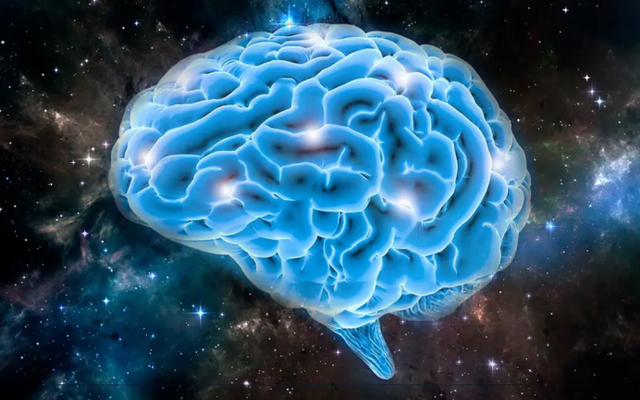 宇宙是一个巨大“生命体”？长相和大脑神经元相似，还会不断进化35 / 作者:何幕之之rl / 帖子ID:101608