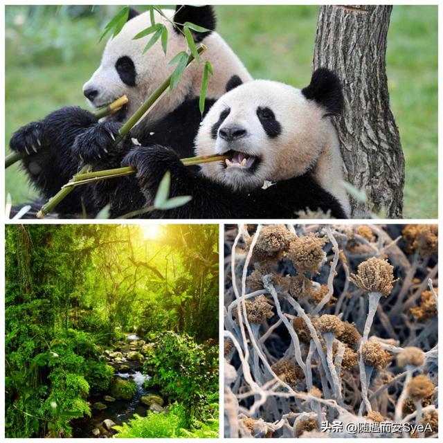 有趣的生物学：什么是生物179 / 作者:天寿保健护理彰 / 帖子ID:101627