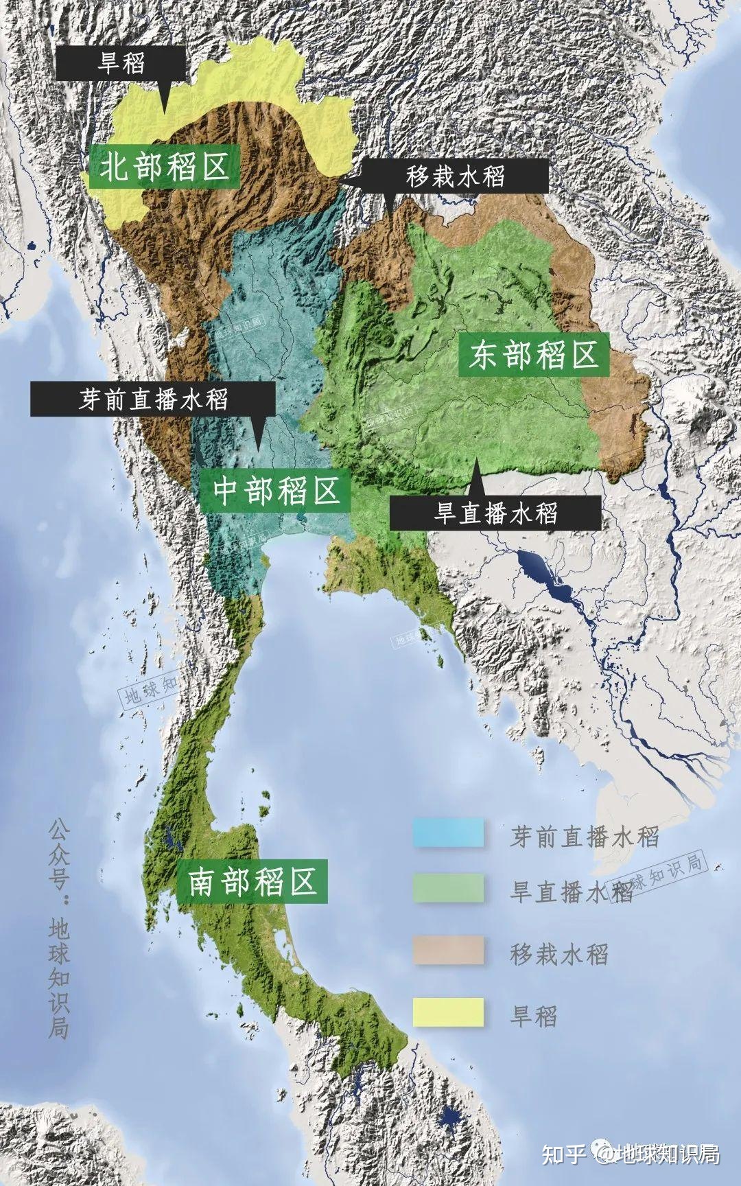 泰国米，从小吃到大 | 地球知识局342 / 作者:教们边束千 / 帖子ID:101675
